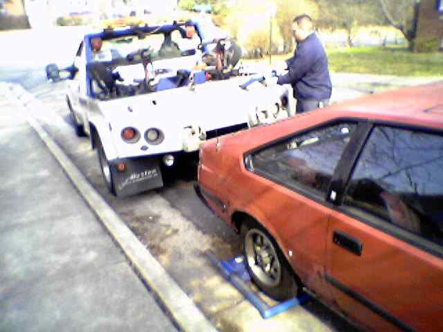 Neosho on her way to a checkup!